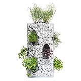 bellissa Gabionen-Kräuterturm - 95620 - Steinkorb-Blumenturm für 10 Pflanzen mit integriertem Gießrohr und Trennfolie - Durchmesser 40 cm, Höhe 80 cm