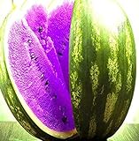 Huifang Fresh 20 Stück Watermelon Fruit Samen zum Anpflanzen von Lavendel