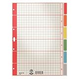 Esselte Leitz Kartonregister Blanko, A4, Karton, 6 Blatt 43500085 Grau mit farbigen Taben, 5 Stück