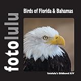 Birds of Florida & Bahamas: fotolulu's Bildband XIV