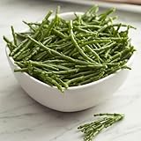 meeresspargel samen gemüsesamen & -pflanzen, wintergemüse meeresspargel frisch samen alte gemüsesorten samen gemüsesamen balkon, gemüse anzucht gemüsesamen winterhart bonsai samen, bio 90p