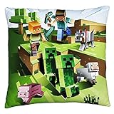 Halantex Minecraft Kissen Dekokissen Pillow MNC142 40 x 40 cm