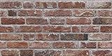 AS Country Stone | Wandverkleidung Steinoptik, 3D Wandpaneele Steinoptik, Styropor-Paneele Backsteinoptik für Innenbereich, Außenbereich, Geschäftsräume | 351-112
