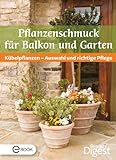 Pflanzenschmuck für Balkon und Terrasse: Kübelpflanzen - Auswahl und richtige Pflege