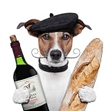 Lustige Einladungskarte zum Essen:'CHICO - DER FRANZOSE' - witziger Hund lädt ein zum Dinner mit Wein und Baguette