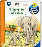 Wieso? Weshalb? Warum? junior: Tiere in Afrika (Band 50) (Wieso? Weshalb? Warum? junior, 50)