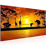 Wandbild Afrika Sonnenuntergang 1 Teilig Modern Bild auf Vlies Leinwand Wohnzimmer Flur Giraffe Elefant Orange 000212a