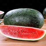 Wassermelone Samen - geschenke für gartenfreunde Melonen Samen, Citrullus lanatus, winterharte pflanzen für garten obstsamen, bio saatgut pflanzen für sonnige plätze bonsai samen, 120p