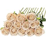 Floralsecret 12 Stück künstliche Seide Rose Blumenstrauß Faux Flowers Home Hochzeitsfeier Dekor(Champagner) …