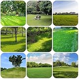 rasensamen, grassamen garden pflanzensamen schattenpflanzen winterhart aussaat gräser samen garten gartenpflanzen exotische samen gartenbedarf pflanzen für sonnige plätze, ziergräser 600p