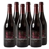 Lambrusco dell Emilia amabile 2020 der Rotwein Klassiker aus Italien (6 x 0.75 l)