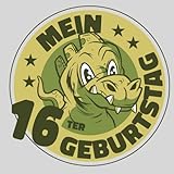 Mein 16 ter Geburtstag: Cooles Geschenk zum 16. Geburtstag Geburtstagsparty Gästebuch Eintragen von Wünschen und Sprüchen lustig 2007 geboren | Dino Süss Cute