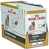 Royal Canin Nassfutter für ausgewachsene Yorkshire Terrier, 24 Packungen à 85 g, ideal für Terrier, ausgewachsene Hunde ab 10 Monaten, 6 cm Trixie Gummiball Spielzeug mit Wurfgriff