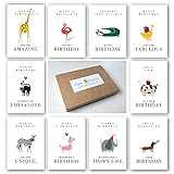 Meridian Design Geburtstagskarten Tiere, Happy Birthday Klappkarten im 10er Set mit Briefumschlag, Grusskarte zum Geburtstag, 10 Glückwunschkarten in Premium Qualität mit Tiermotiv, Geschenkkarten
