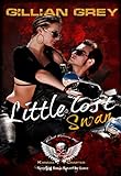Little Lost Swan, Wicked Warriors MC Kansas Chapter: Bleeding Souls Saved By Love (Wicked Bad Boy Biker Motorcycle Club Romance) (English Edition)