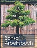 Bonsai Arbeitsbuch: Planungshilfe für die Bonsaigestaltung