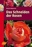 Das Schneiden der Rosen (Ulmer Taschenbücher)