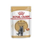 ROYAL CANIN British Shorthair Sauciere, 12 x 85 g