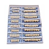 MYAMIA 168Pcs Composite Acrylharz Zähne Zahn Zahn Werkzeuge Für Den Zahnverlust Mund-Use-Prothese