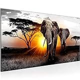 Wandbild Afrika Elefant 1 Teilig Modern Bild auf Vlies Leinwand Wohnzimmer Flur Panorama Grau Orange 007612a
