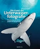 Die Kunst der Unterwasserfotografie: Wunderwelten des Meeres perfekt aufs Foto gebracht