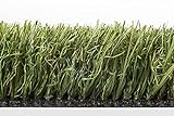 Premium-Kunstrasen, Optik wie echter Rasen: für Garten, Balkon & Terrasse; UV-beständig, Modell Kanada (Höhe: 55 mm) 2 m x 1 m