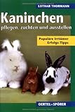 Kaninchen erfolgreich pflegen, züchten, ausstellen. Populäre Irrtürmer - Erfolgs-Tipps - Spruchweisheiten: Populäre Irrtümer - Erfolgs-Tipps