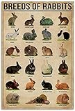 Blechschild 'Breeds Of Rabbits Wissen' Metallschild, Vintage-Posterschild für Zuhause, Restaurant, Küche, Wanddekoration, beste Familien-Dekoration, klassisches Geschenk, 30,5 x 40,6 cm
