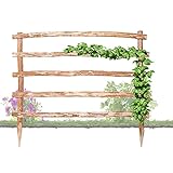Natürliche Rankhilfe aus Holz in 33 verschiedenen Größen für Ihre Kletterpflanzen Höhe 180 x Breite 60 cm