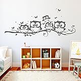 Wandtattoo Loft „Fünf niedliche Eulen auf einem Ast mit Schmetterlingen“ - Wandtattoo / 30 Farben / 4 Größ