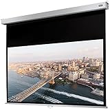 celexon manuell ausziehbare Heimkino- und Business-Rollo-Beamer-Leinwand 4K und Full-HD mit Slow-Return Professional Plus - 160 x 90 cm - 16:9