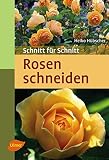 Rosen schneiden: Schnitt für S