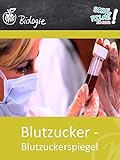 Blutzucker - Blutzuckerspiegel - Schulfilm Biologie