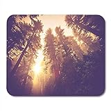AOHOT Mauspads California Misty Forest Trail Magic Redwood Scenery in Warm Vintage Color Grading Landscape Mouse Pad Mats 9.5' x 7.9' for Notebooks,Desktop Computers AccessoriesOffice Supplies