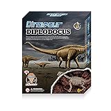 Jxuan Dinosaurier-/Fossil-Archäologisches Ausgrabungsspielzeug, Lernspielzeug für Kinder, Wissenschaftsset, bestes Geschenk für Jungen und Mädchen, C