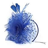 YWLINK 1920er Jahre ZubehöR Stirnband Klassisch Fascinators Hut Blume Mesh BäNder Federn Auf Einem Stirnband Cocktail Tea Tanzparty Party Retro Headwear FüR MäDchen Und D