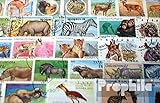 Prophila Collection Afrika 100 Verschiedene Afrikanische Tiere Briefmarken (Briefmarken für Sammler) Säuger Sonstige