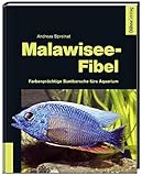Malawisee-Fibel: Farbenprächtige Buntbarsche fürs Aquarium