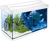 Tetra AquaArt LED Aquarium-Komplett-Set 60 Liter - inklusive LED-Beleuchtung, Tag- und Nachtlichtschaltung, EasyCrystal Innenfilter und Aquarienheizer, Farbe: Weiß