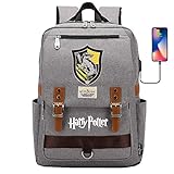 DDDWWW Hufflepuff Rucksack Harry Potter Tasche, multifunktionale große Kapazität Schüler Schule Tasche, Laptop-Rucksack mit USB-Anschluss Retro Grau