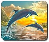 Mauspad - Delfine bei Sonnenuntergang