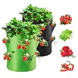 Homealexa Pflanzsack, Pflanzen Tasche Pflanzbeutel 40L/10 Gallonen mit Griffen, Dauerhaft Atmungsaktiv Beutel Gemüse Grow Bag, 2er Pack (Erdbeere 2)