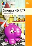Cinema 4D R 17: Praxiseinstieg (mitp Professional)