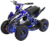 Actionbikes Motors Kinder Elektro Miniquad ATV Racer 1000 Watt 36 Volt - Scheibenbremsen - Safety Touch System Fußschalter (1000 Watt Schwarz/Blau)