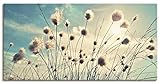 Artland Leinwandbild Wandbild Bild auf Leinwand 100x50 cm Wanddeko Blumen Blüten Botanik Gräser Wollgras Himmel Sonne Wolken Frühling T2GI