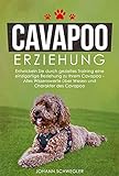 Cavapoo Erziehung: Entwickeln Sie durch gezieltes Training eine einzigartige Beziehung zu Ihrem Cavapoo - Alles Wissenswerte über Wesen und Charakter des Cavapoo