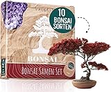 10 Bonsai Samen aus 5 Kontinenten I Exotische Baum Samen für deinen einzigartigen Bonsai Baum I Bonsai Starter Kit für Anfänger und Pflanzen Verrückte I Unser Bonsai Set als besondere Geschenkidee