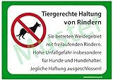 Landkaufhaus Mayer Weide Warnschild *Tiergerechte Haltung von Rindern* 29 x 21cm, Warnschild,Weidezaun,Weidegebiet,
