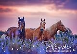 Geburtstagskalender Pferde 34,3 x 23,3 cm | immerwährender Kalender mit Foto-Motiven Pferd | Wandkalender mit 13 Blatt