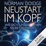 Neustart im Kopf: Wie sich unser Gehirn selbst rep